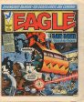  eagle081